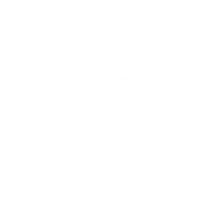 American Vision Partners