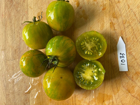 Orange - Green Zebra Tomato - Organic - Greta's Family Gardens