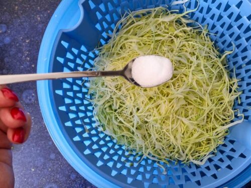 Coleslaw selber machen