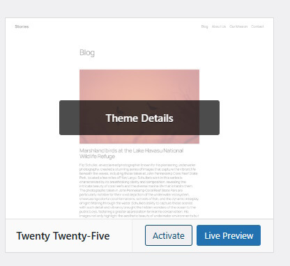 How to activate the theme
