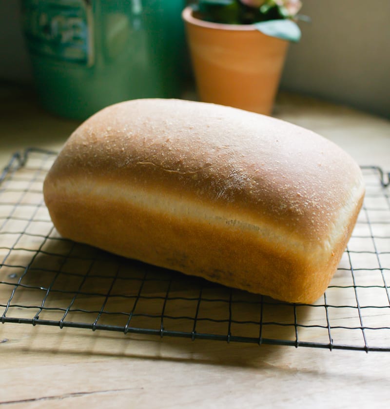 Sourdough sandwich bread loaf