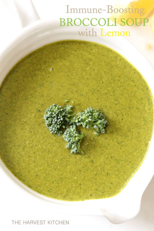 Immune Boosting Broccoli Soup A white bowl filled with broccoli soup.