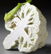 How to Grow Cauliflower How to Grow Cauliflower