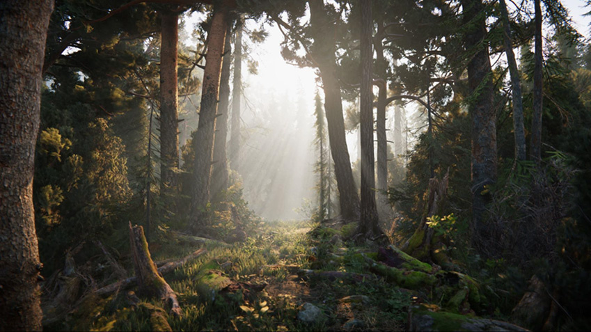 A scene with photo-realistic lighting.