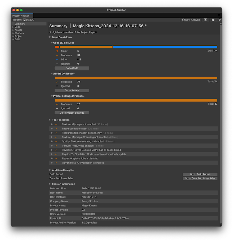 Project Auditor Summary view